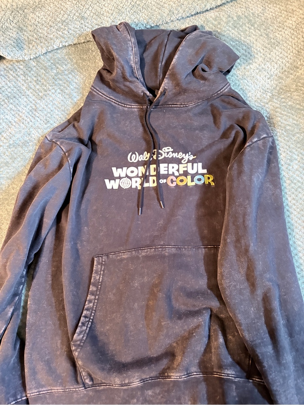Disney100  Walt Disney's Wonderful World of Color Hoodie